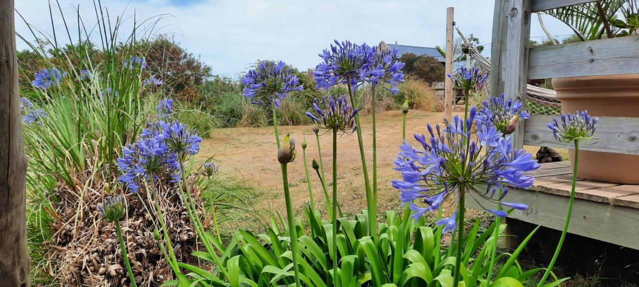 Dejeps Villa Punta Del Diablo Exteriör bild